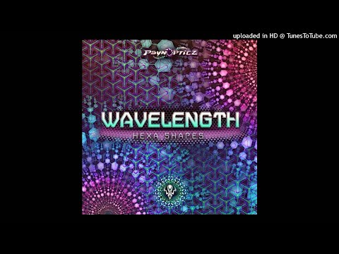 Duke & Gonzo vs Wavelength - Madness & Obsession (Original Mix)