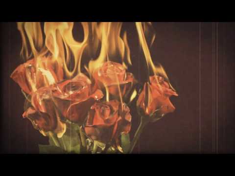 Video thumbnail for Waterloo Teeth