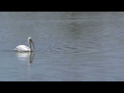 Ziua 1 - Lacul Mostistea