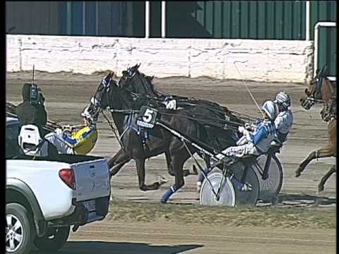 Trotto 23/04/2017 - 4ª corsa