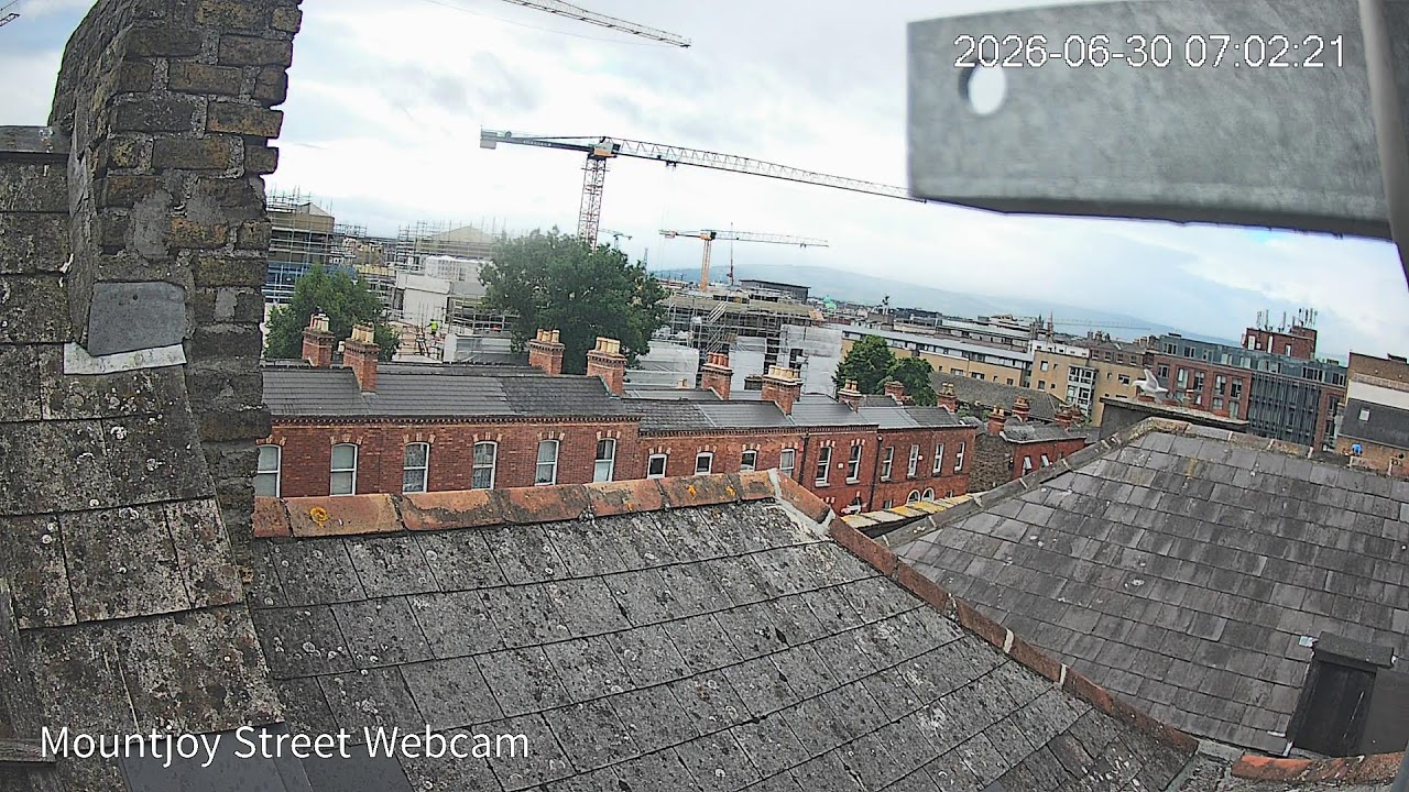 Live webcam view of Mountjoy Street Rooftop Panorama
