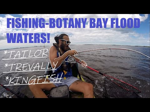 Fishing Botany Bay Flood Waters - Tailor, Trevally, Kingfish ! HSTV 2021
