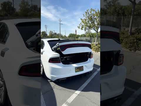 Trunk Setup Clean and Simple #dodgecharger #baggedcharger #rt #airlift