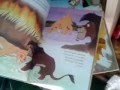 My Lion King Collection By Noa