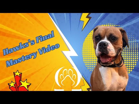 Omega Paws Dog Training video.