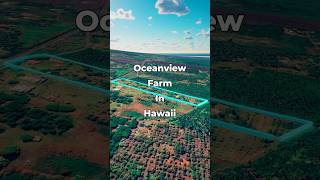 Ocean View Farm Land for Sale in HAWAII • LANDIO