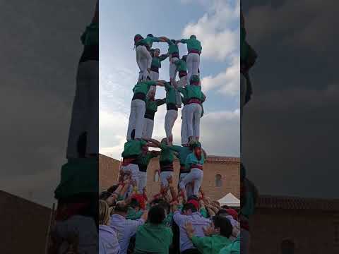 video-cover