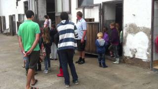 Besuch Bauernhof (15)