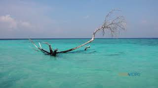 Feridhoo Island - Maldives Trailer