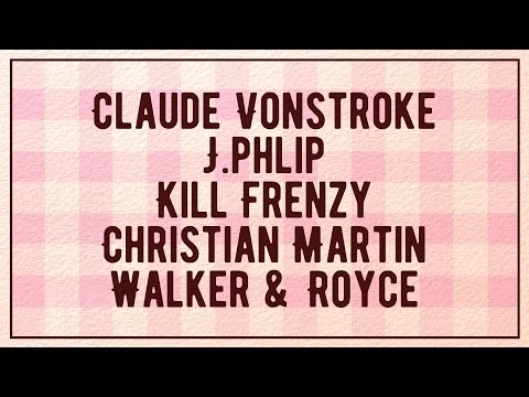 2016 Dirtybird BBQ Miami Promo Video