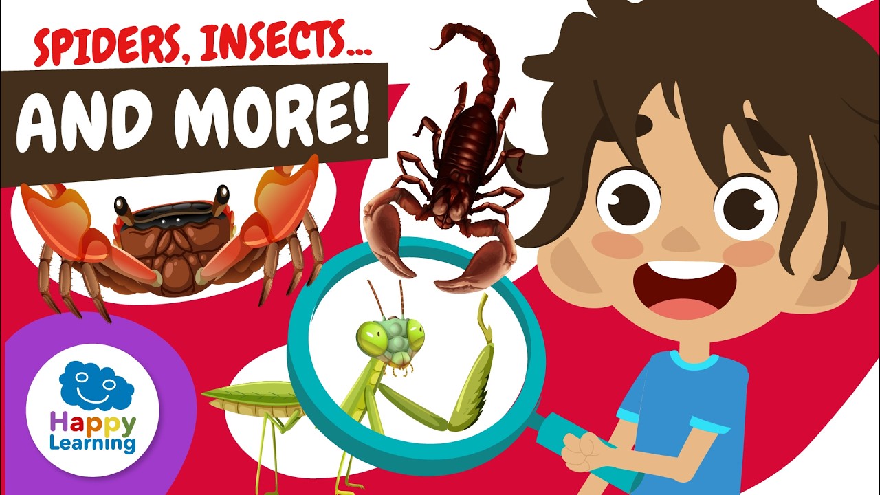 🔴 LIVE | 🕷️ THE AMAZING WORLD of ARTHROPODS | Educational Videos for Children | @HappyLearningEN