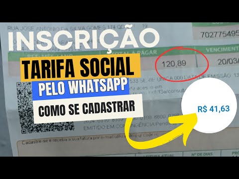 Vídeo: Bolsa Família: WhatsApp oficial, contatos e golpes