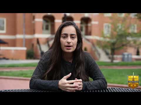 #WakeEntrepreneurs, Yasmine Khosrowshahi and Petros Chrysochos,