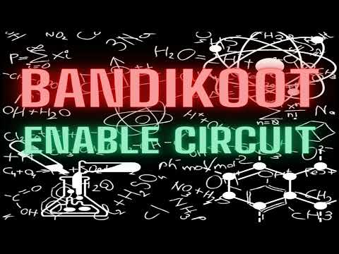 BANDIKOOT - Enable Circuit | ACIDCORE