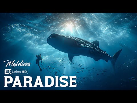 Unseen Paradise | Exploring the Untouched Diving Haven of Maldives and Beyond