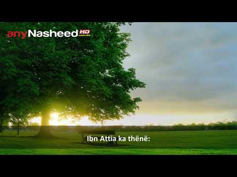 6. Khalid Rashid -  Nëna