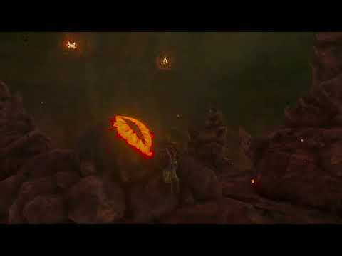 Marbled Gohma - No Damage - 45 second boss fight