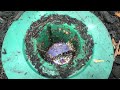 A HUGE Ant Infestation in Termite Bait Station in Raritan, NJ