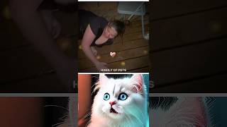 Download lagu #awezchaitrend mp3