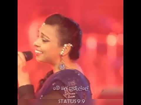sansaraye ma hamu wi thiyedo ( සංසාරයේ මා හමුවී තියේදෝ | new whatsApp status video 2021