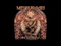Meshuggah - The Demon's Name Is Surveillance ...
