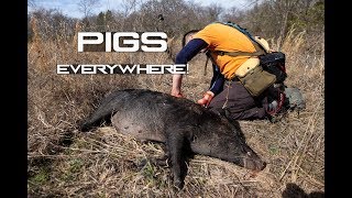 HUNTING PUBLIC PIGS in TEXAS | THINGS GET HOG WILD!!