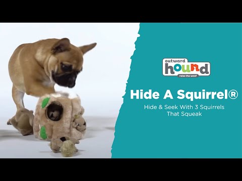 Игрушка для собак Outward Hound интерактивная Hide-A-Squirrel (Белка-Тайник) 20 см (oh31003) - фото 1 - id-p1665574675