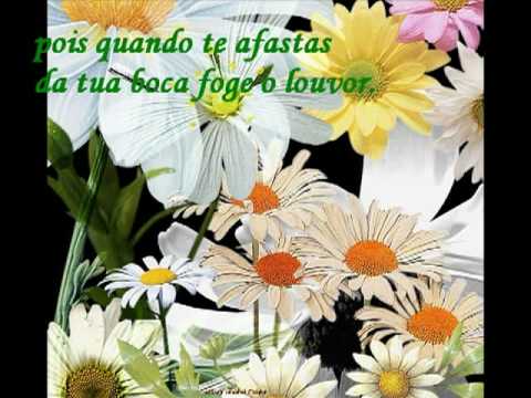 Tatiana Malafaia - Sobre Ele tua ansiedade