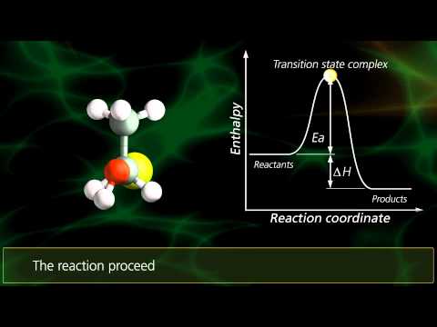 SN2 Reactions | University Of Surrey