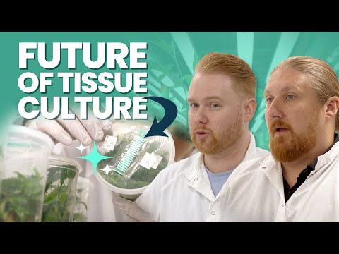 The Future of Tissue Culture