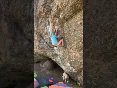 Immortality Sit V11 (10/9/22)