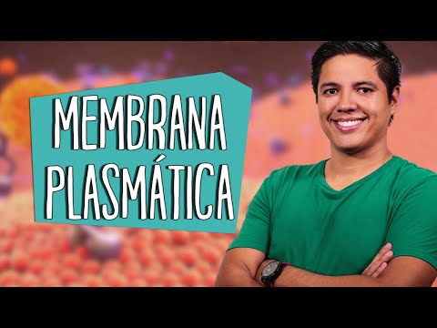 PLASMA MEMBRANE - CYTOLOGY - Structure - Prof. Kennedy Ramos