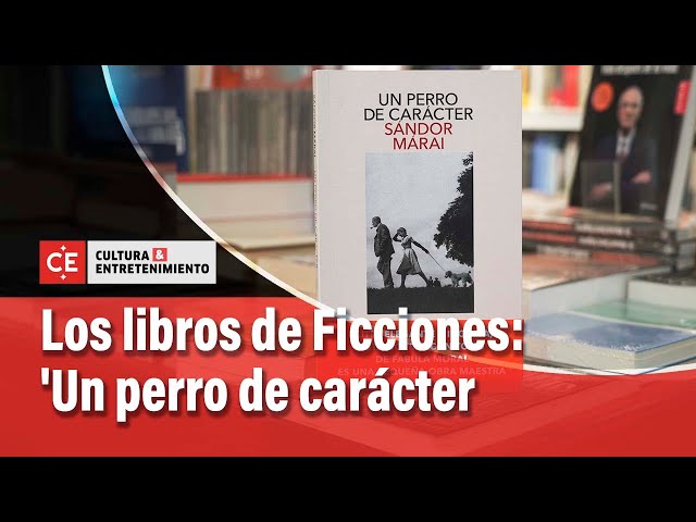 Vídeo relacionado con Un perro de carácter