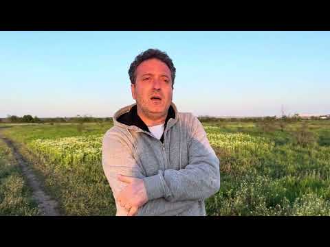 Călătorie în universul poetic al lui Alexandru Philippide, la 125 de ani de la  naștere