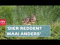 'Boeren moeten anders maaien' en Drenten druk met NL Doet | Drenthe Nu 29 mei 2021