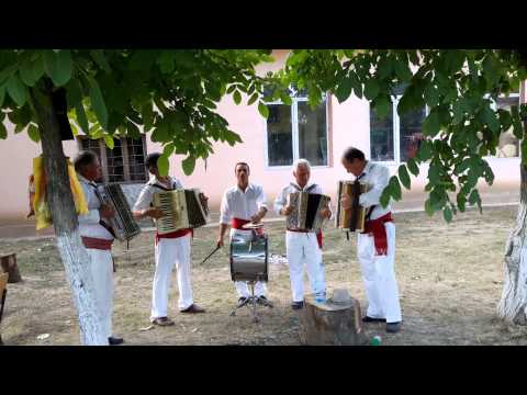 Formatia de armonici Peceneaga, Mircea-Voda, jud. Braila2