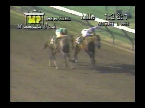 1993 Haskell Invitational Stakes