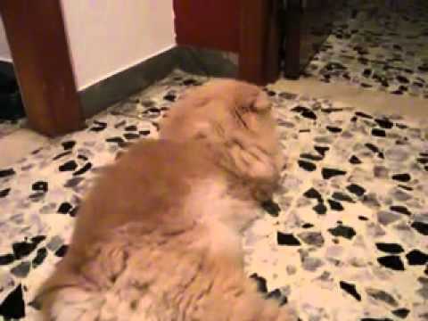 The Neverending Story