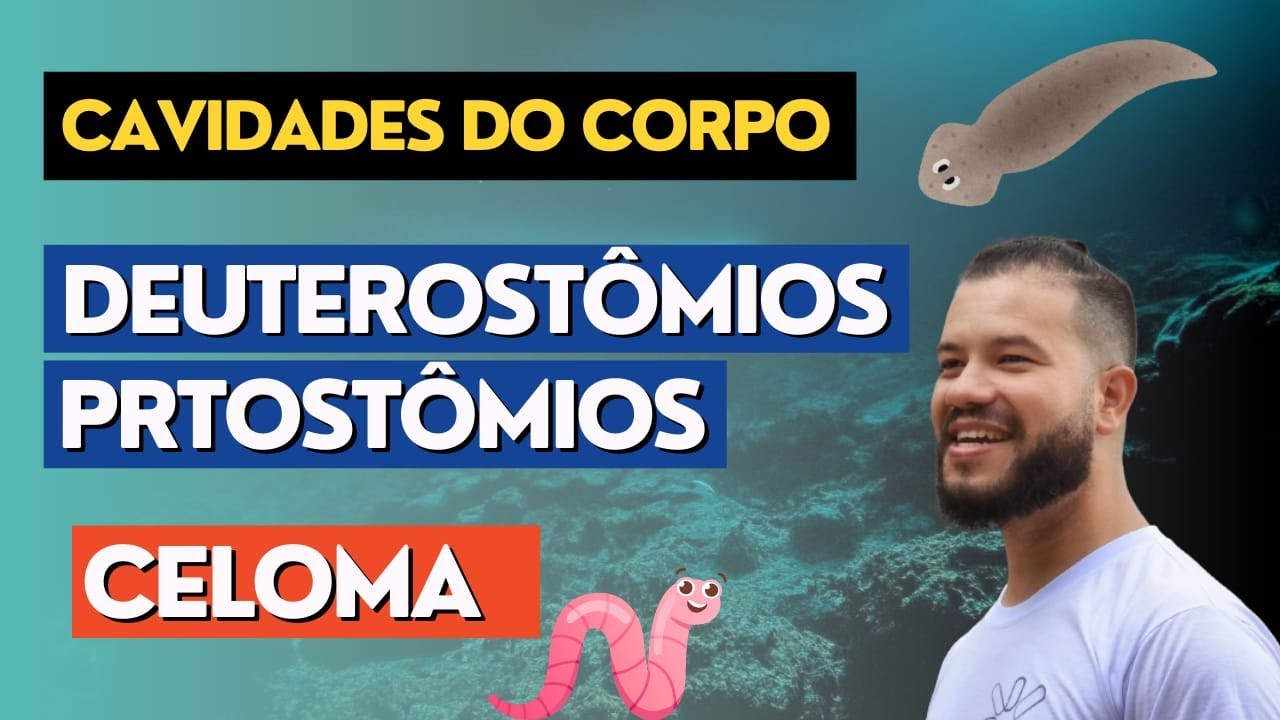 Cavidades do Corpo e a Divisão dos Animais: Protostômios vs. Deuterostômios