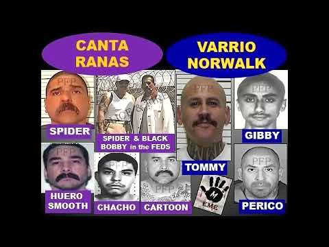 Mexican Mafia Gang Ties - Norwalk and Canta Ranas