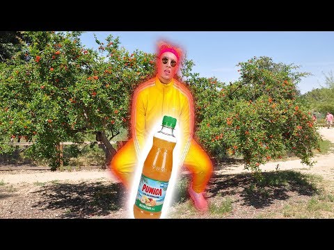 Lil Lano - Schmeckt bisschen wie PUNICA | Höprobe