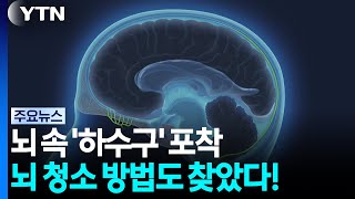 뇌 속 '하수구' 포착...뇌 청소 방법도 찾았다! / YTN