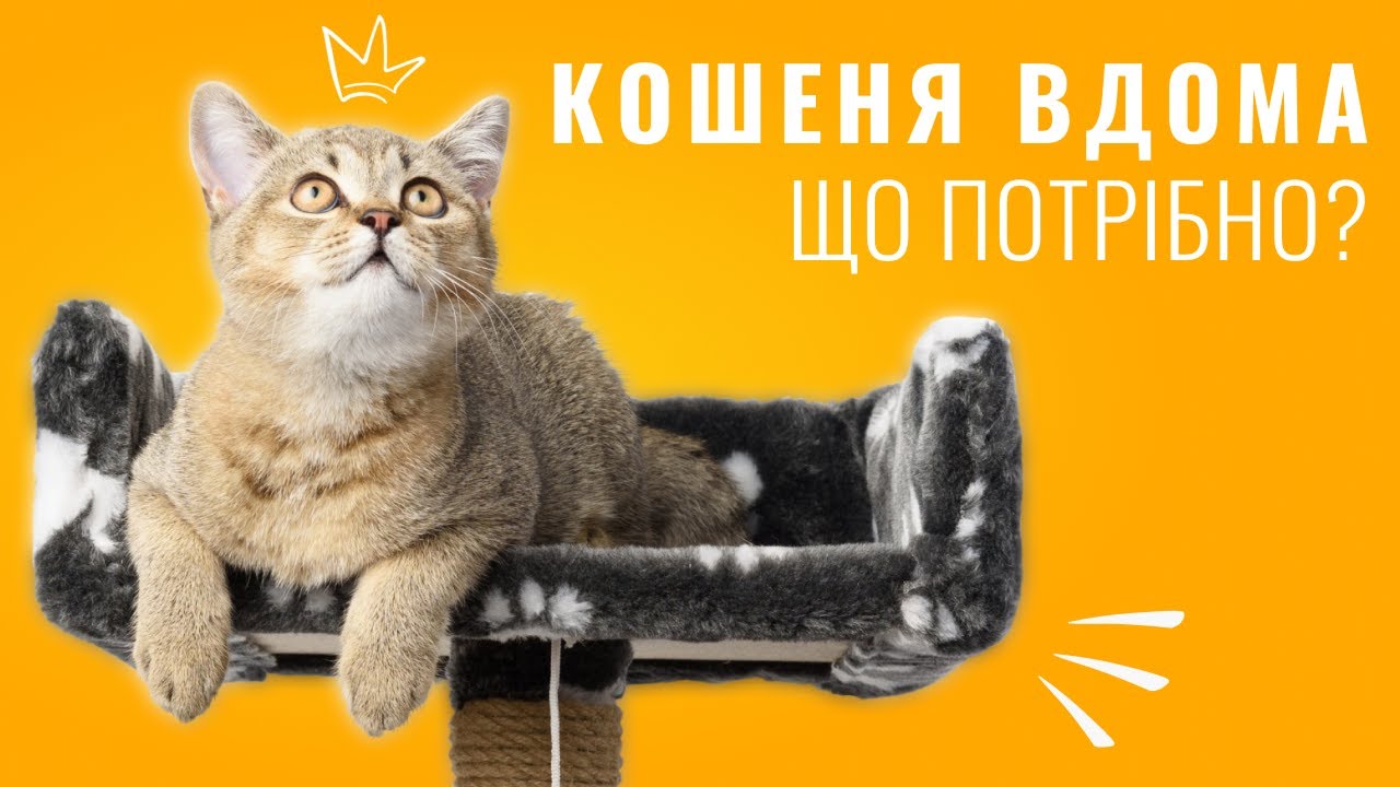 YouTube video preview