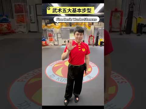 5 basic stances. #wushu #kungfu #martialarts #shaolin