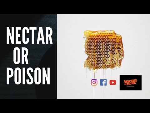 NECTAR  OR  POISON  | Check Your Cup | Hear Bhagavatam