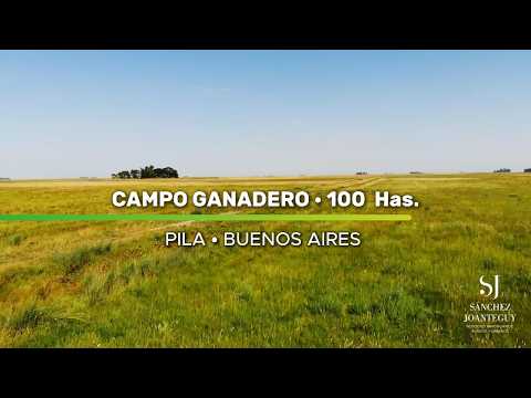 CAMPO EN VENTA. Casalins, Pila, Bs. As. 100 Has.