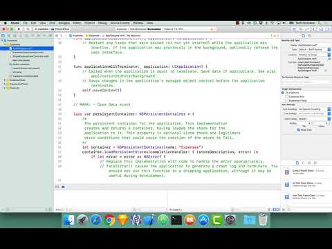01 Core Data - Introduction - Expenses App - Single Entity