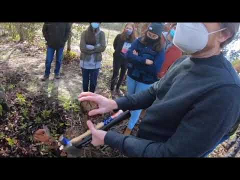 Citra PSREU FOR4624C lab 2 4 21