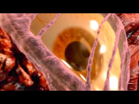 Resident Evil Outbreak HD 60 fps — Opening / Intro