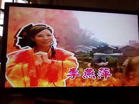 5 Openings VCD Chinese New Year